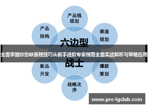 全面掌握欧协联赛程技巧从新手进阶专家指南全面实战解析与策略应用