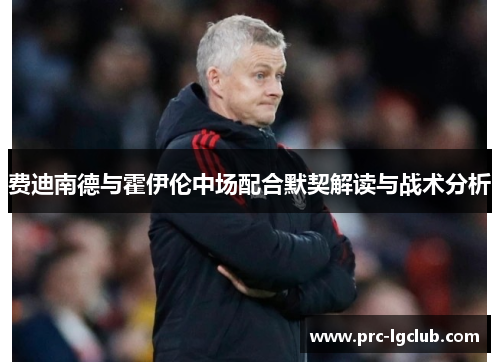 费迪南德与霍伊伦中场配合默契解读与战术分析 费迪南德与霍伊伦中场配合默契解读与战术分析