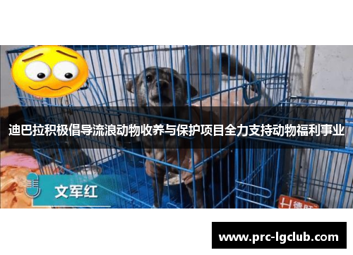 迪巴拉积极倡导流浪动物收养与保护项目全力支持动物福利事业 迪巴拉积极倡导流浪动物收养与保护项目全力支持动物福利事业